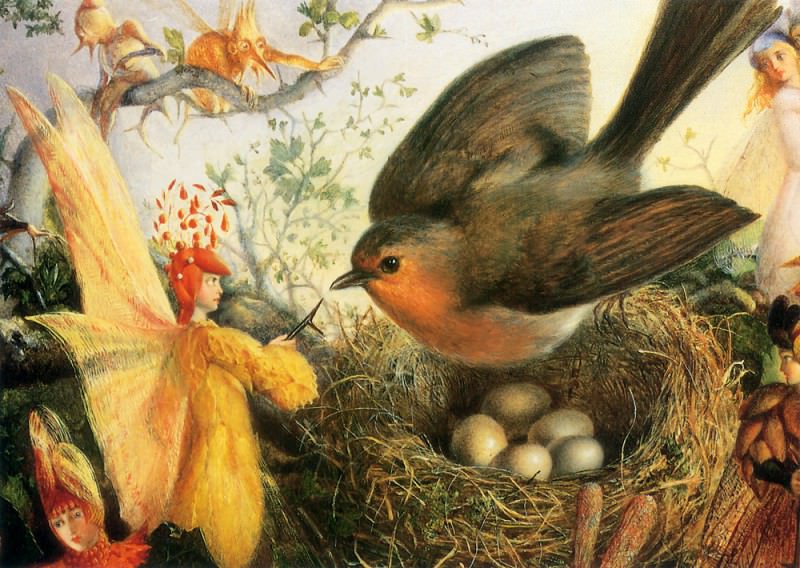 Cock Robin Defending His Nest. John Anster Fitzgerald