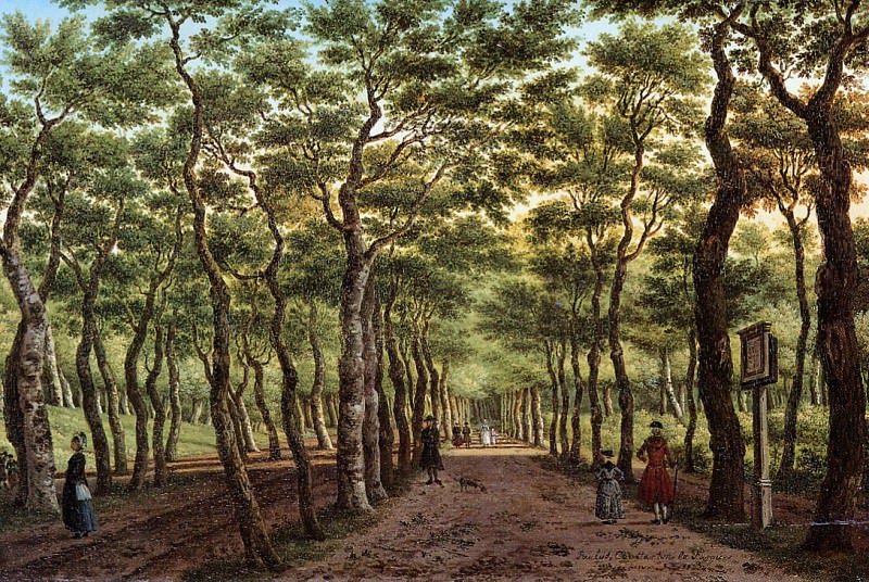 Farque La Paulus The Herepad in forest the Hague Sun. Paulus la Farque