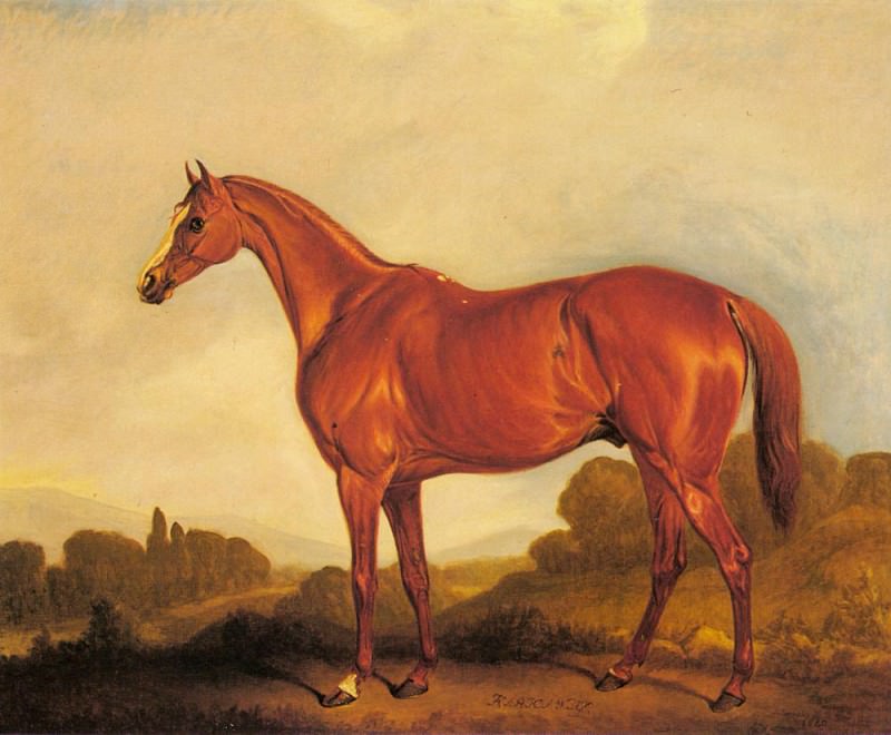 A Portrait Of The Racehorse Harkaway. John Ferneley