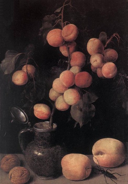 Peaches. Georg Flegel