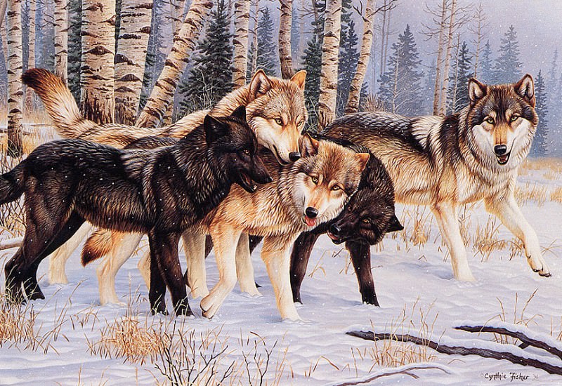 bs- Cynthie Fisher- Untitled. Синти Фишер ( Wolves)