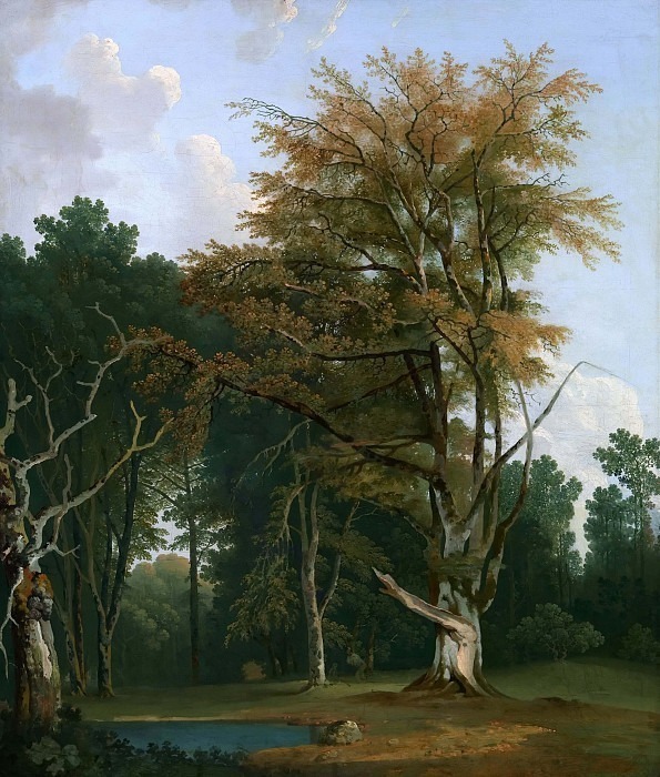 Trees in a Woodland Glade. Joseph Farington