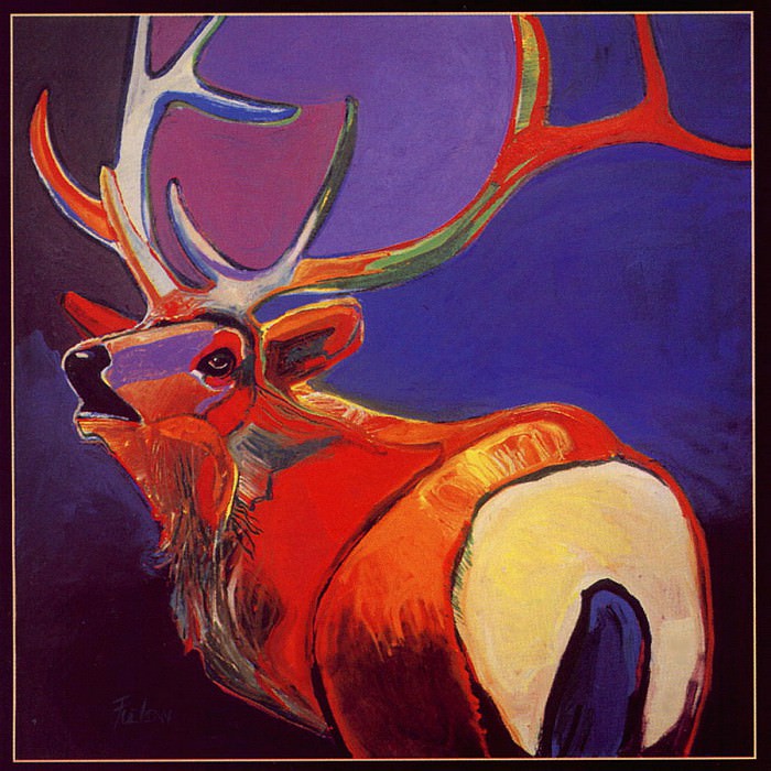 Front Range Elk. Malcolm Furlow