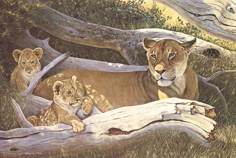 bs- Albert Earl Gilbert- African Lioness And Cubs. Albert Earl Gilbert