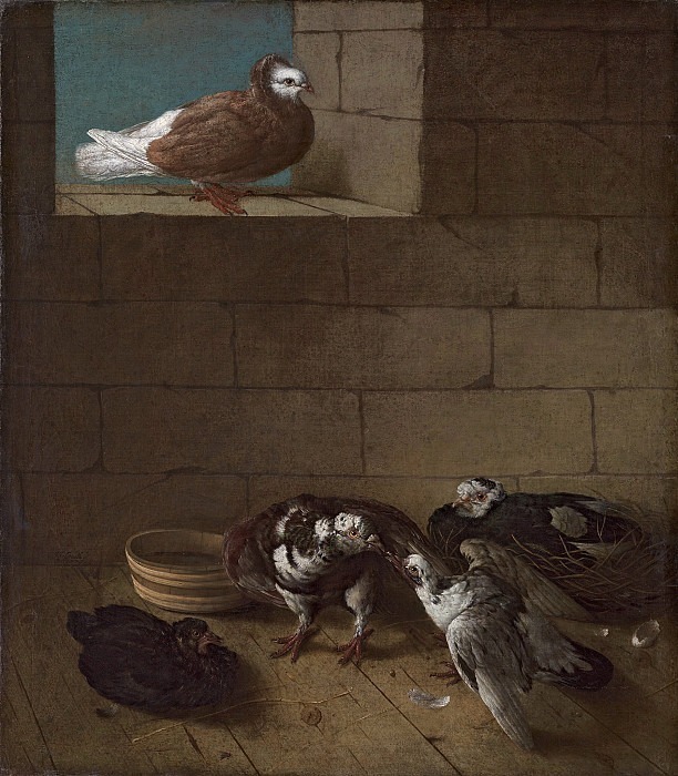 Pigeons. Johann Friedrich von Grooth