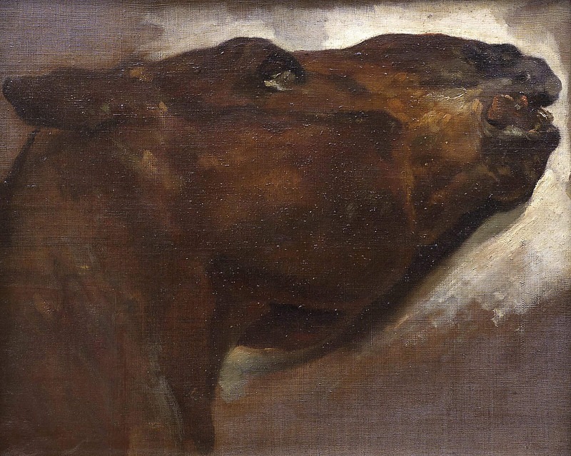 Study of a Dead Horse. Jean Louis Andre Theodore Gericault