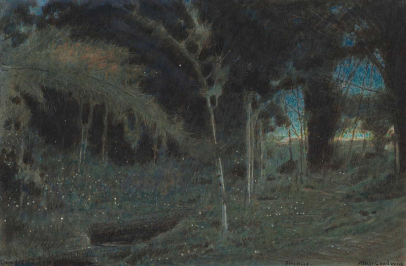 Fireflies, Trinidad. Albert Goodwin