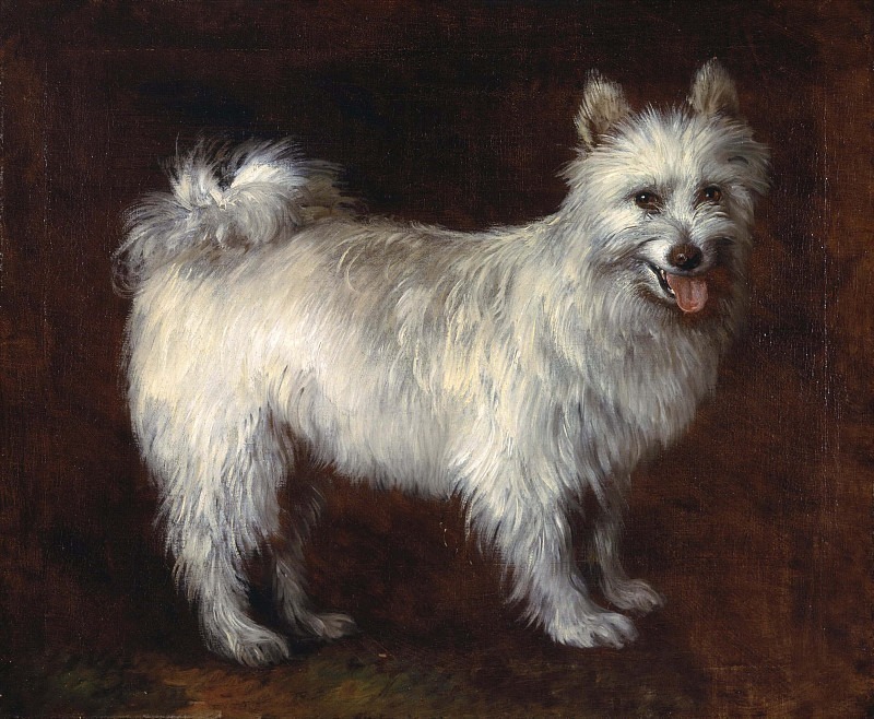 Spitz Dog. Thomas Gainsborough