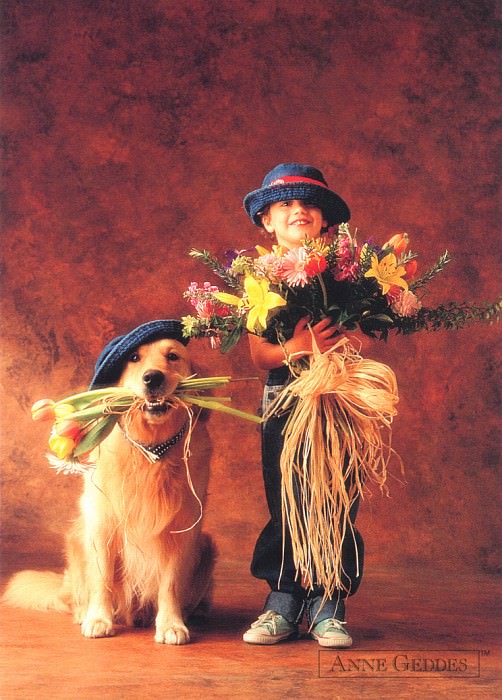 kb Geddes Anne-Boy Bouquet and Buddy. Анна Геддес