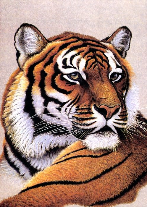 kb Gustavson Greg-Bengal Tiger. Грег Густавсон