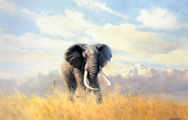 Grant Donald A Bull Elephant. Дональд Грант
