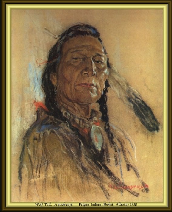 Индейский портрет #0. Николас Де Гранмезон
