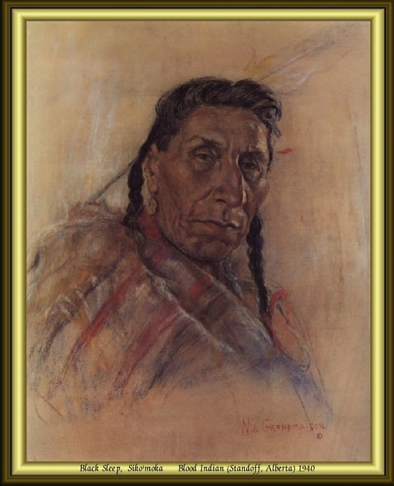 Индейский портрет #16. Николас Де Гранмезон
