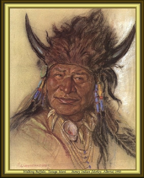Индейский портрет #39. Николас Де Гранмезон