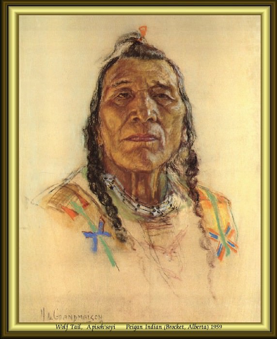 Индейский портрет #51. Николас Де Гранмезон