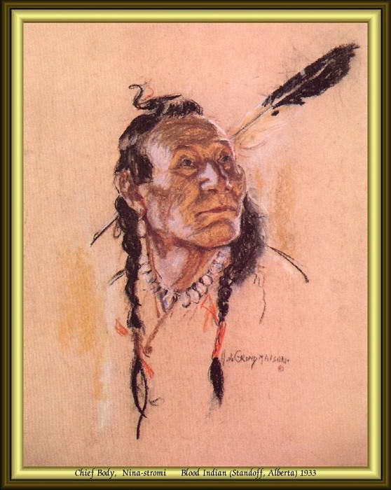 Индейский портрет #10. Николас Де Гранмезон