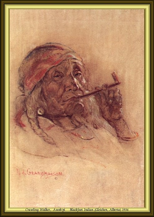 Индейский портрет #14. Николас Де Гранмезон