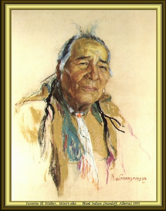 Индейский портрет #47. Николас Де Гранмезон