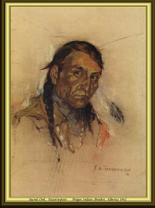Индейский портрет #26. Николас Де Гранмезон