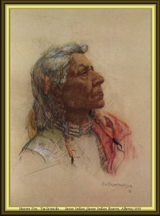 Индейский портрет #5. Николас Де Гранмезон