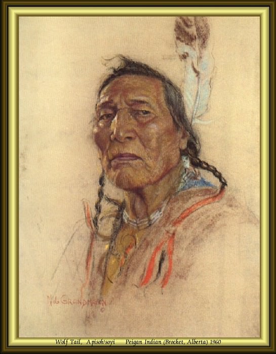 Индейский портрет #54. Николас Де Гранмезон