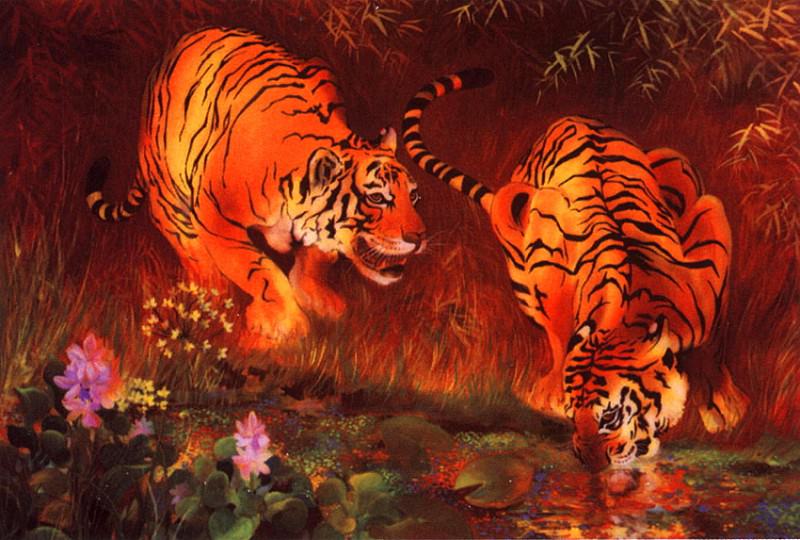lrs Giam Truong Buu Save the Tigers. Труонг Бу Гиам