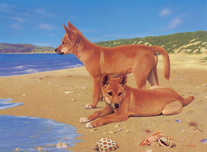 Dingo Pups Painting. Ego Guiotto