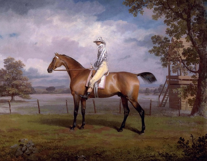 Скаковая лошадь, возможно, замаскированная, собственность герцога Гамильтона, с жокеем. Джордж Гаррард