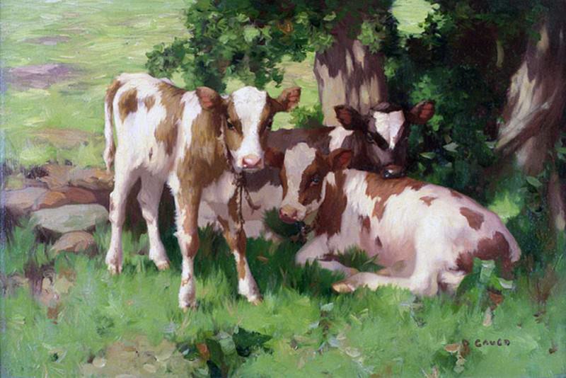 Three Calves in the Shade of a Tree. David Gauld