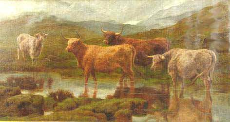 Highland Cattle. Frederick Goodall