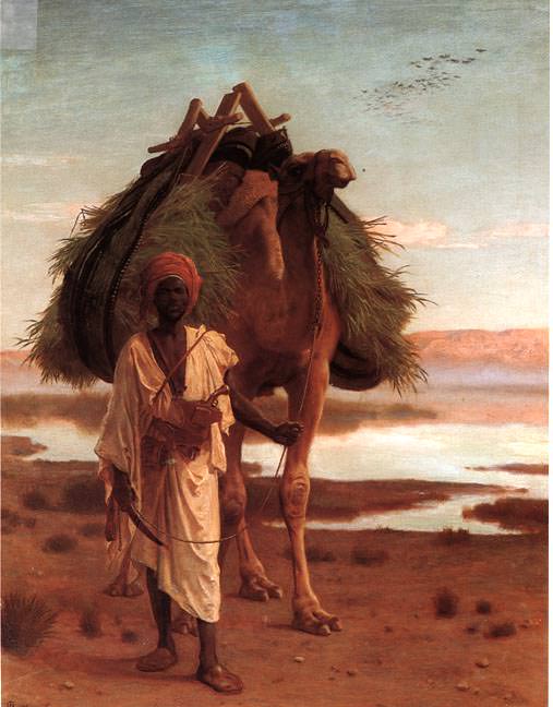 Нубиец, ведущий нагруженного верблюда вдоль берега Нила. Фредерик Гудолл