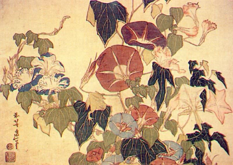 morning glories and tree frog 1833. Hokusai