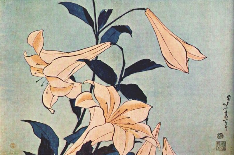 lilies. Hokusai