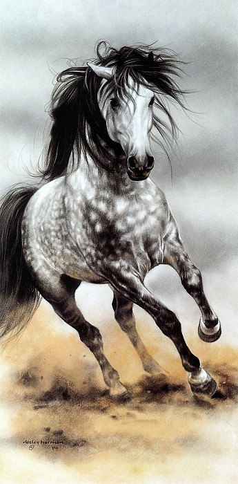 Великолепная серая лошадь. Лесли Харрисон