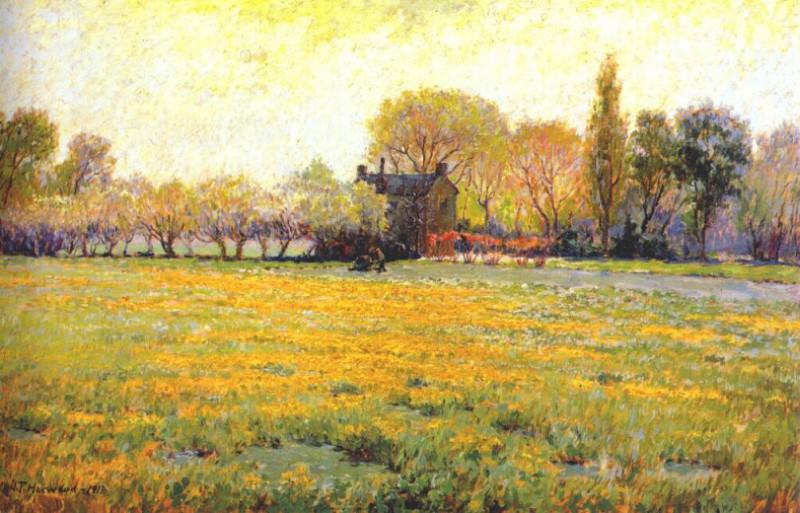 harwood dandelion field 1913. Harwood