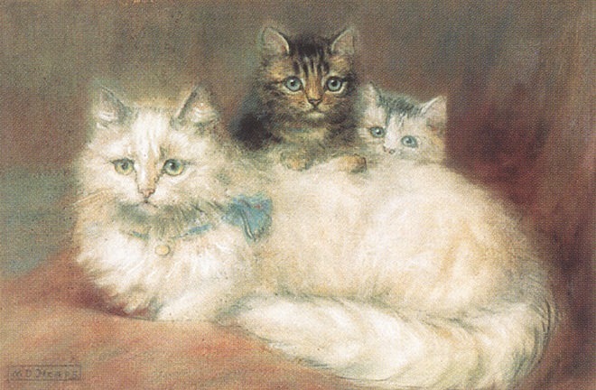 bs-cc-Persian Cat & Her Kittens. Maude D Heaps (Maude D Heaps)