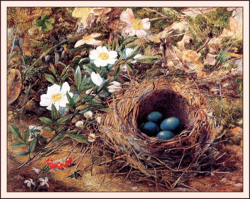 bs-flo- John William Hill- Birds Nest And Dogroses. Джон Уильям Хилл