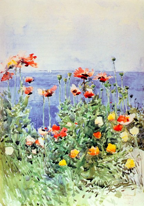 poppies, isles of shoals 1891-r. Childe Frederick Hassam