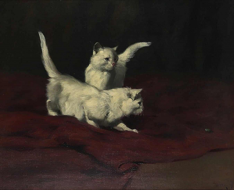 Котята наблюдают за жуком. Артур Хейер