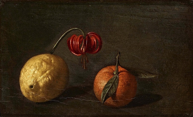 Still life with fruits and orchid