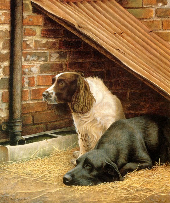In The Doghouse. Nigel & Daniel Kevin Hemming