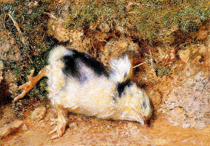 John Ruskin-s dead chick. William Holman Hunt