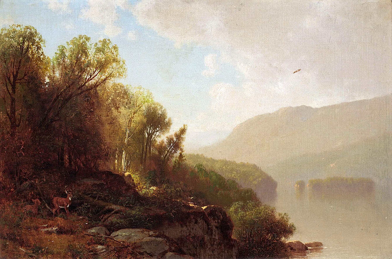 In the Adirondacks. William Hart