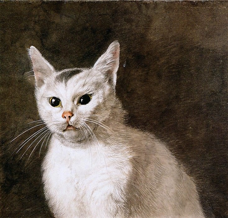 Hendriks Wybrand White cat Sun. Вибренд Хендрикс
