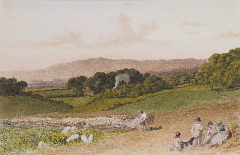 The Turnip Field. Robert Hills