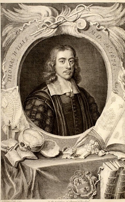Portrait of Thomas Willis, M.D., Jacobus Houbraken