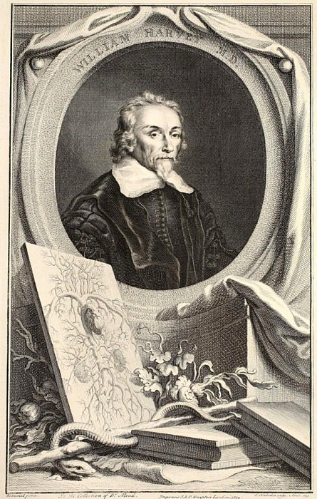 Portrait of William Harvey, Jacobus Houbraken