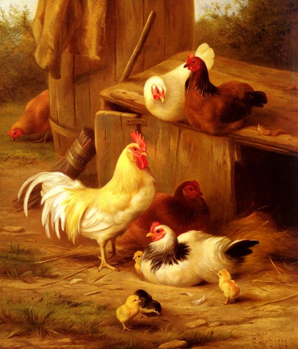 Chickens And Chicks. Edgar Hunt