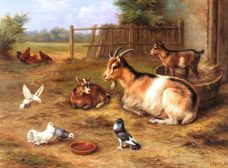 Сцена на дворе фермы с козами, цыплятами и голубями. Эдгар Хант