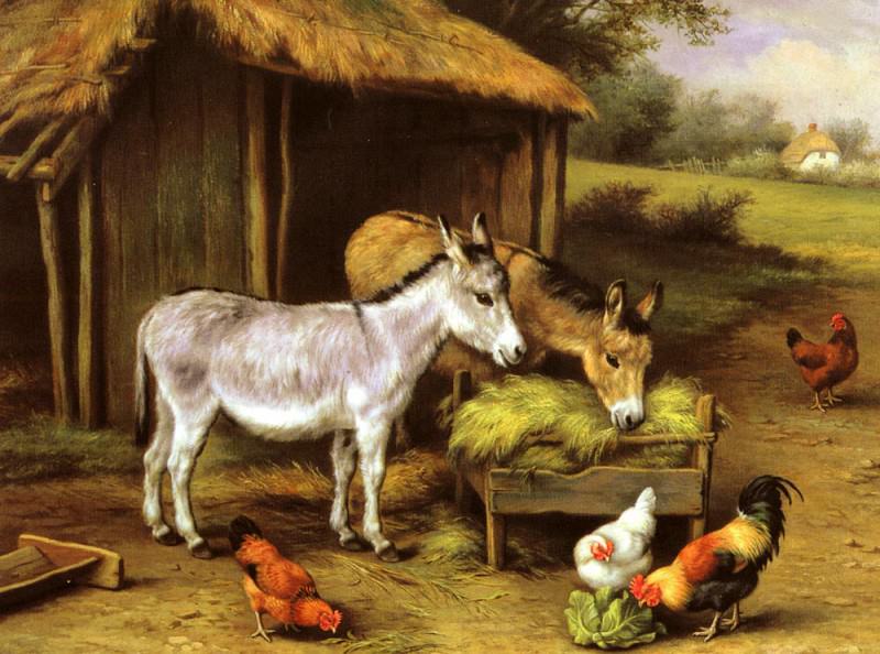 Chickens And Donkeys Feeding Outside A Barn. Edgar Hunt